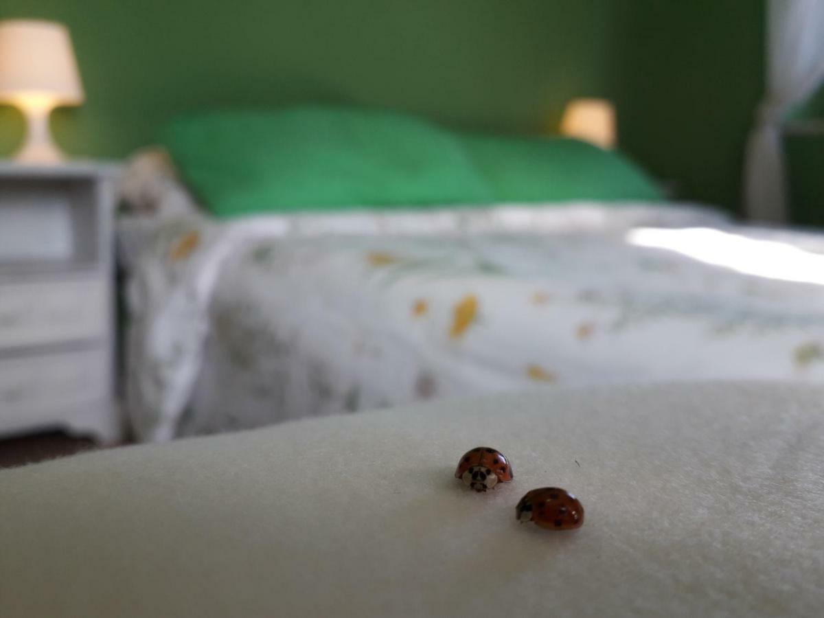 Alle Preci Country House Santa Restituta Dış mekan fotoğraf