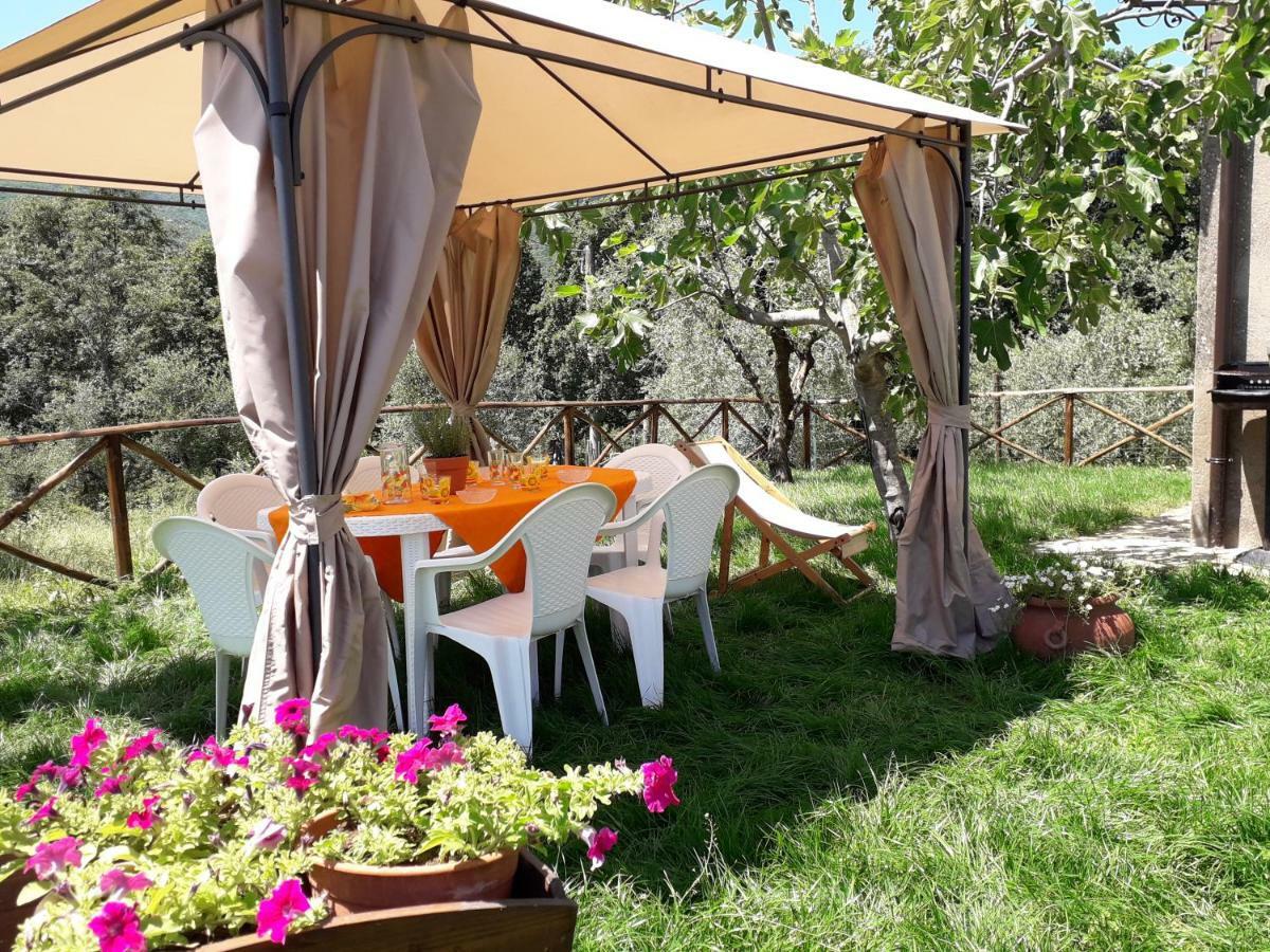 Alle Preci Country House Santa Restituta Dış mekan fotoğraf