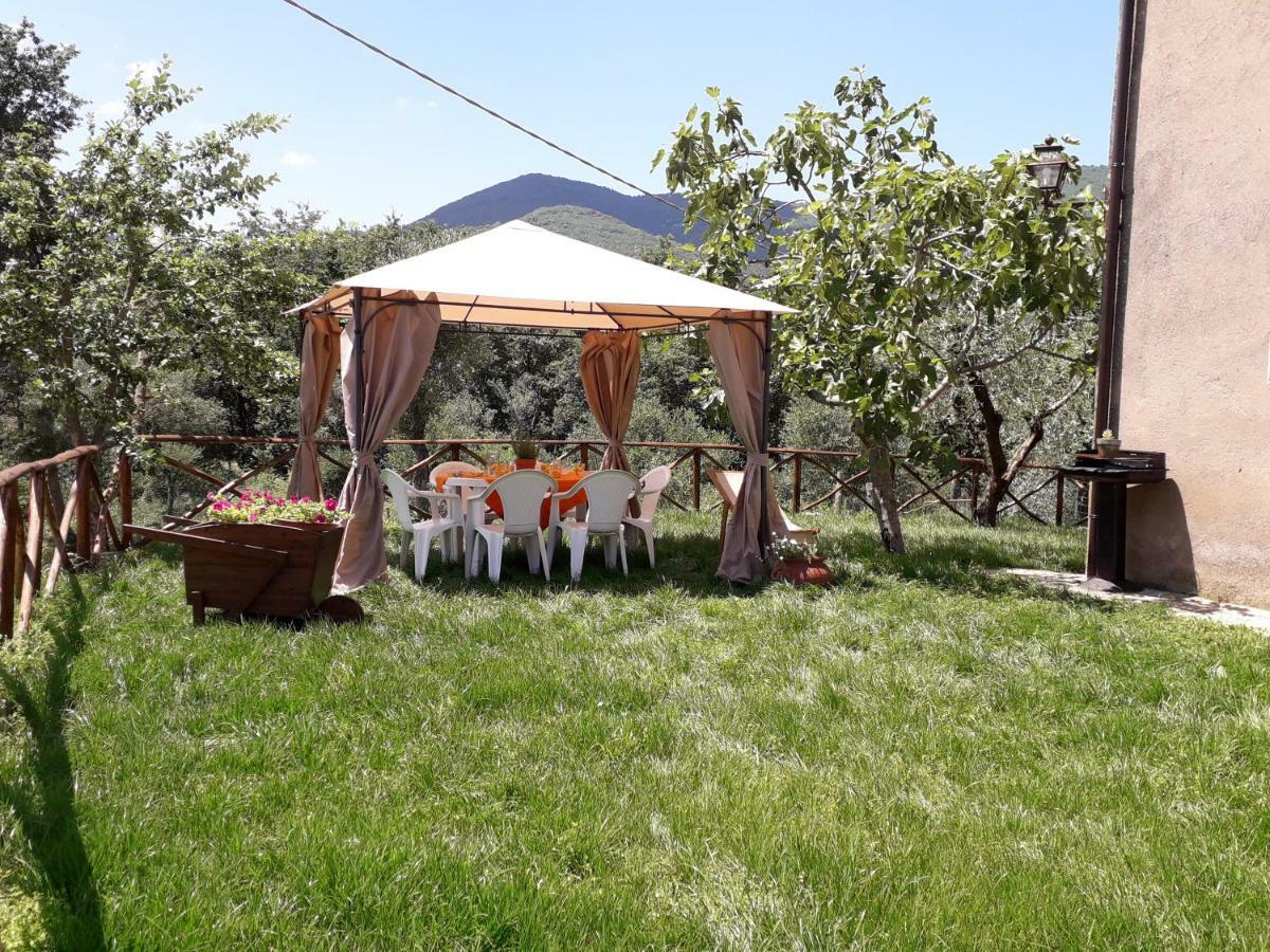 Alle Preci Country House Santa Restituta Dış mekan fotoğraf